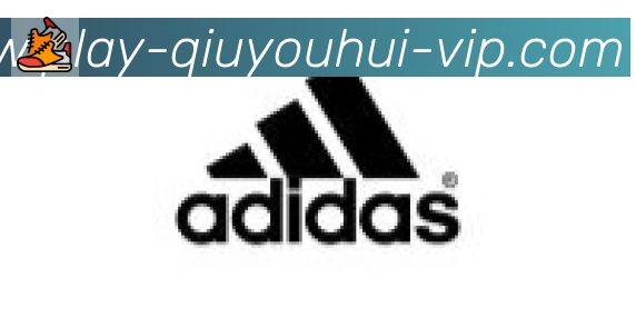 球友会体育合作伙伴